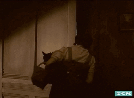 Dorothy opening the door to see Oz in full color. Animated gif.